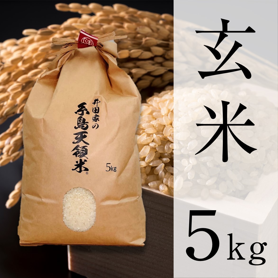 糸島天領米5kg（玄米）